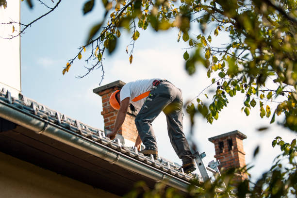 Best Shingle Roofing Installation  in Crow Agency, MT