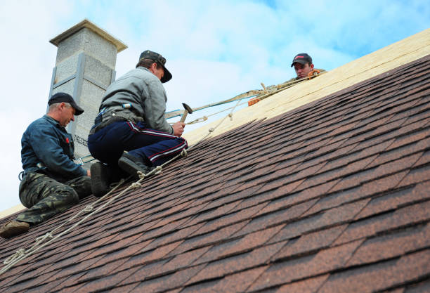 Best Roof Inspection Near Me  in Crow Agency, MT